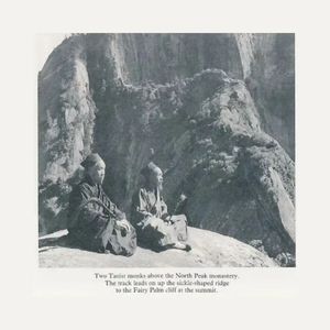 古东真理子一区二区
